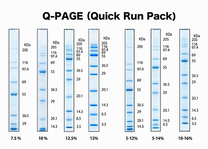 Q-PAGEセパレーションガイド